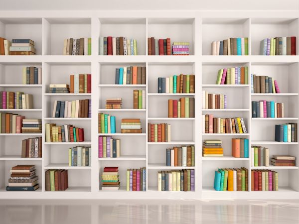Bookshelf Assembly in Saint Charles