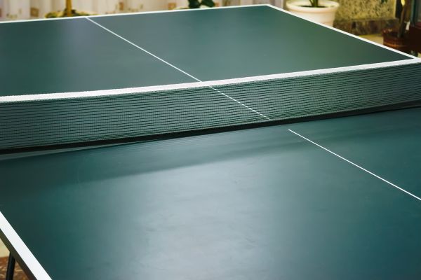 Ping Pong Table Assembly in Saint Charles